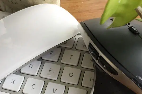 Pourquoi ma souris sans fil ne fonctionne-t-elle pas ?